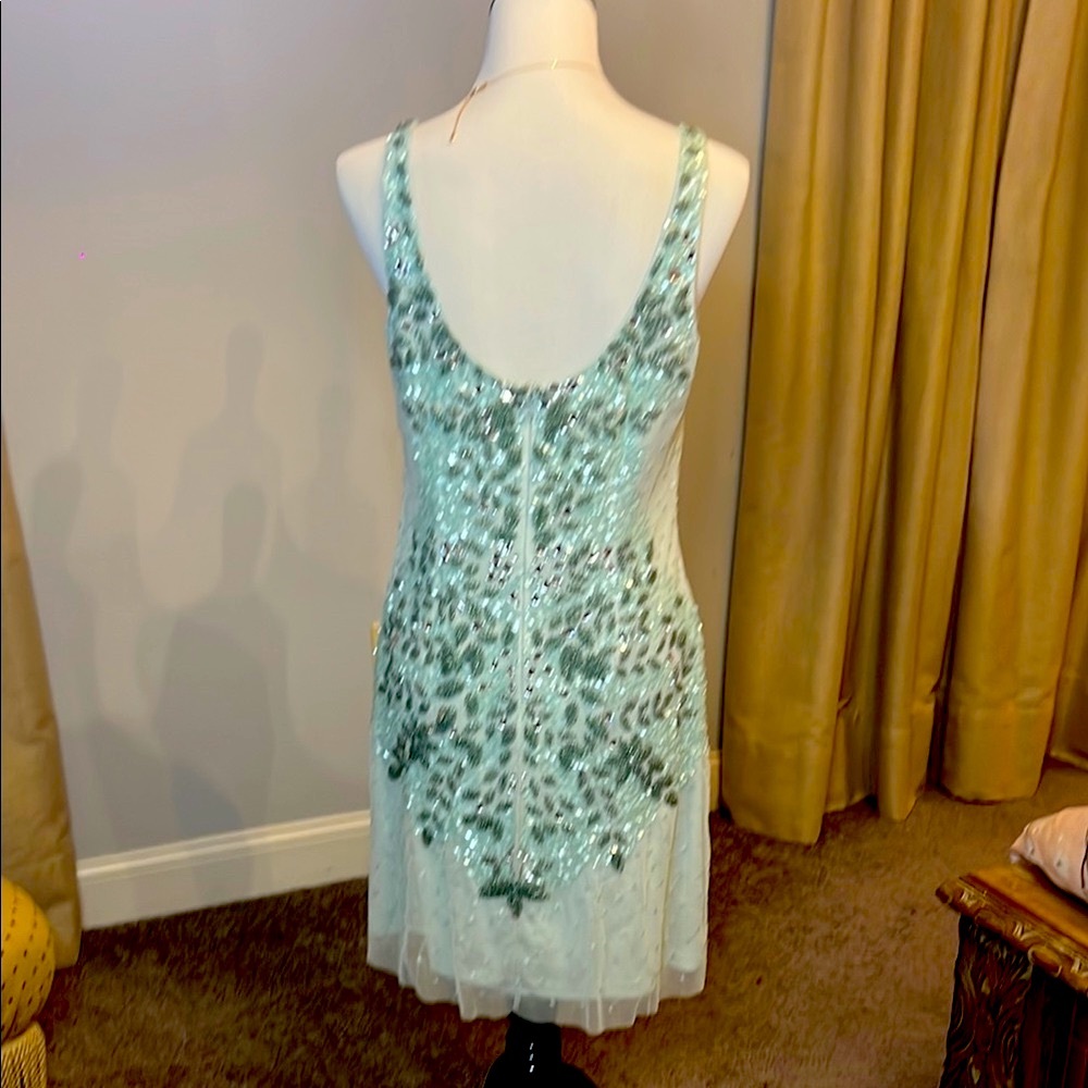Adriana Papell BodyCon Mint Green Embellished Dress - Picture 3 of 6